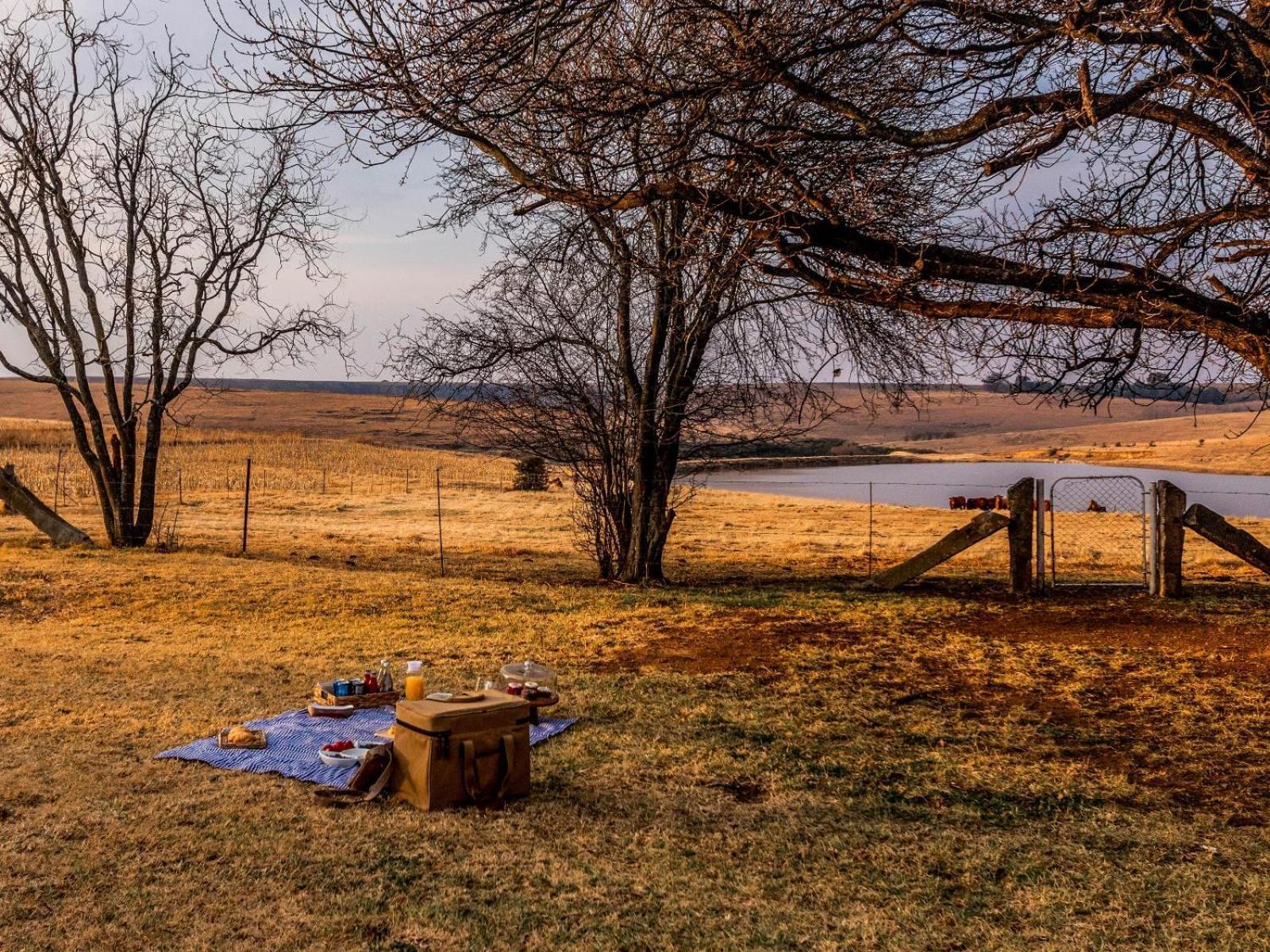 Buffalo Hills Private Game Reserve Harrismith Cameră foto